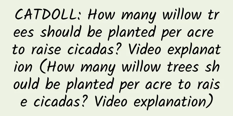 CATDOLL: How many willow trees should be planted per acre to raise cicadas? Video explanation (How many willow trees should be planted per acre to raise cicadas? Video explanation)