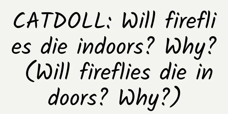 CATDOLL: Will fireflies die indoors? Why? (Will fireflies die indoors? Why?)