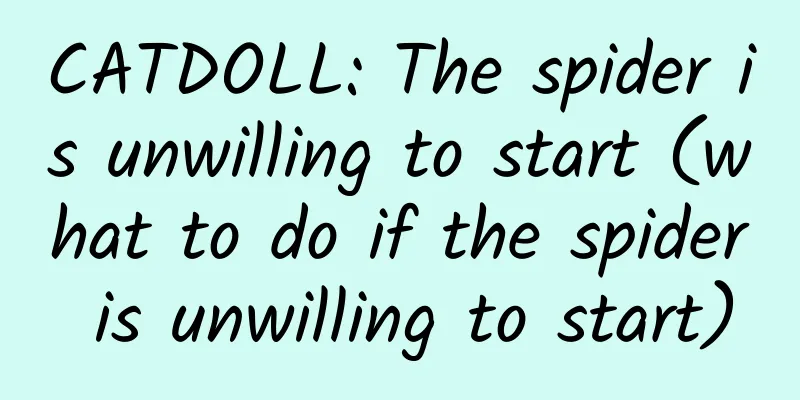 CATDOLL: The spider is unwilling to start (what to do if the spider is unwilling to start)