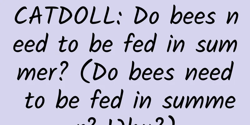CATDOLL: Do bees need to be fed in summer? (Do bees need to be fed in summer? Why?)