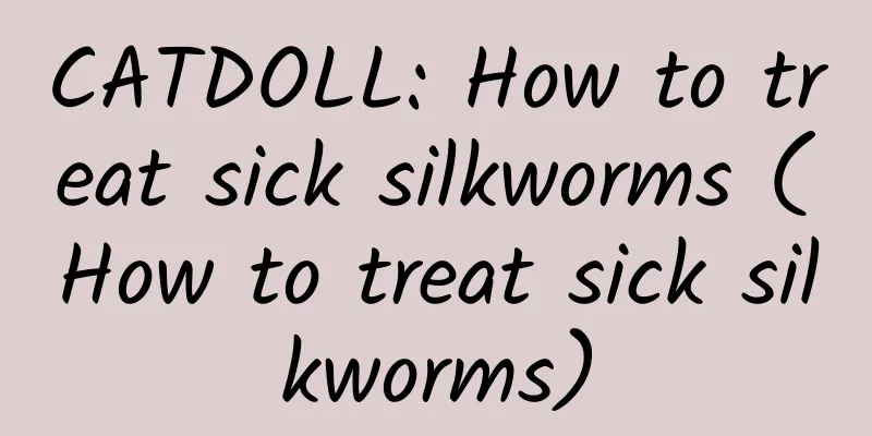 CATDOLL: How to treat sick silkworms (How to treat sick silkworms)