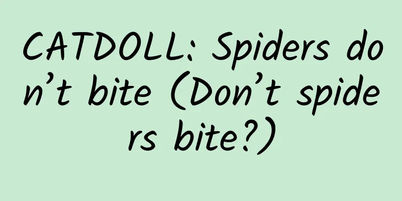 CATDOLL: Spiders don’t bite (Don’t spiders bite?)