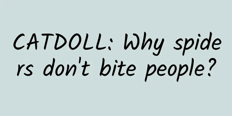 CATDOLL: Why spiders don't bite people?