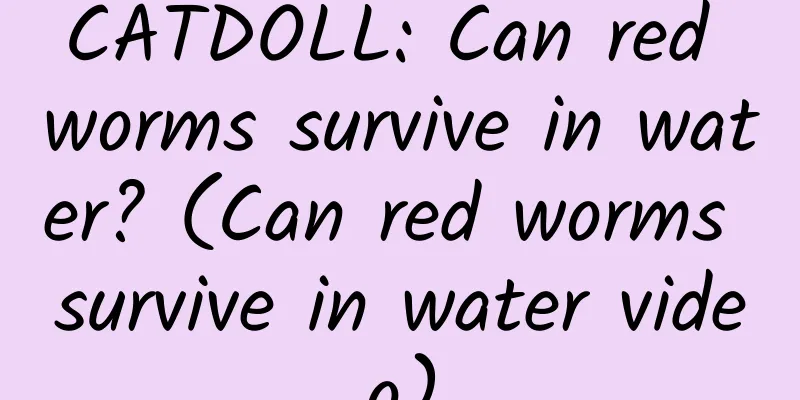 CATDOLL: Can red worms survive in water? (Can red worms survive in water video)