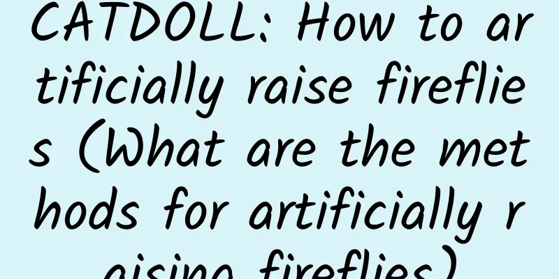 CATDOLL: How to artificially raise fireflies (What are the methods for artificially raising fireflies)