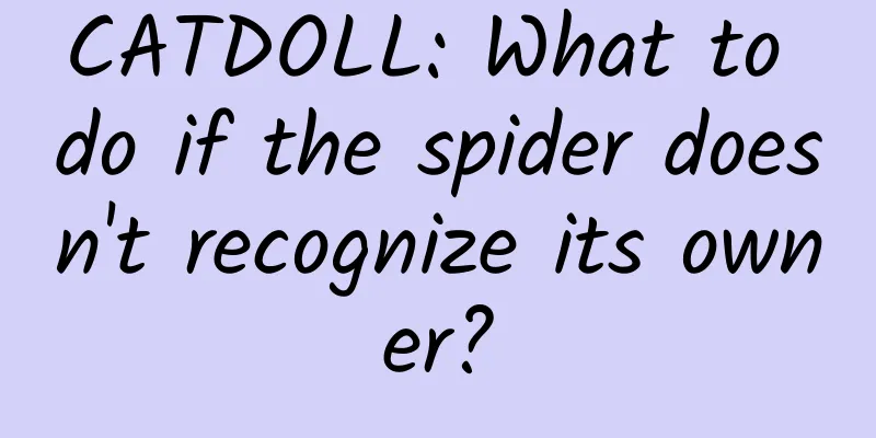 CATDOLL: What to do if the spider doesn't recognize its owner?