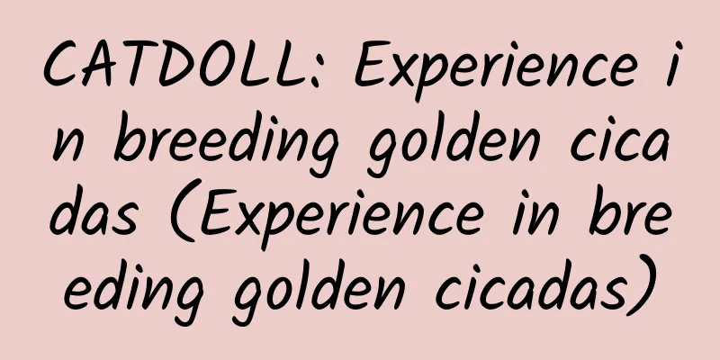 CATDOLL: Experience in breeding golden cicadas (Experience in breeding golden cicadas)