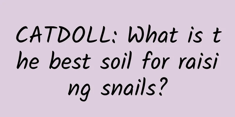 CATDOLL: What is the best soil for raising snails?