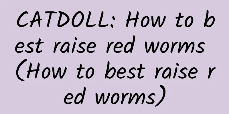 CATDOLL: How to best raise red worms (How to best raise red worms)
