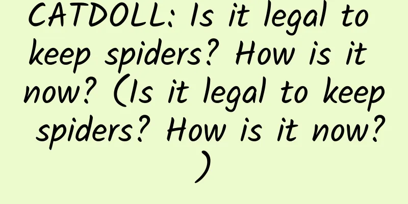 CATDOLL: Is it legal to keep spiders? How is it now? (Is it legal to keep spiders? How is it now?)