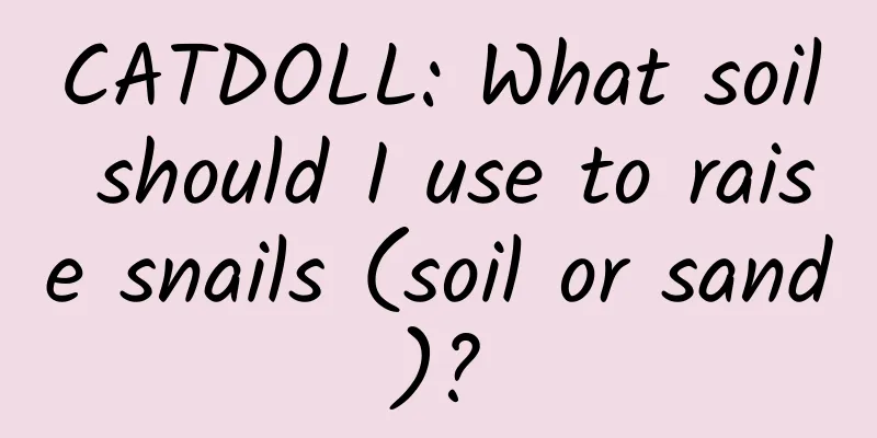 CATDOLL: What soil should I use to raise snails (soil or sand)?