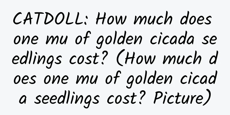 CATDOLL: How much does one mu of golden cicada seedlings cost? (How much does one mu of golden cicada seedlings cost? Picture)