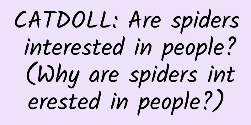 CATDOLL: Are spiders interested in people? (Why are spiders interested in people?)