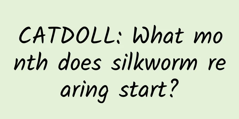 CATDOLL: What month does silkworm rearing start?
