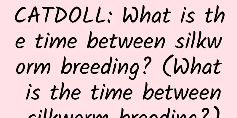 CATDOLL: What is the time between silkworm breeding? (What is the time between silkworm breeding?)
