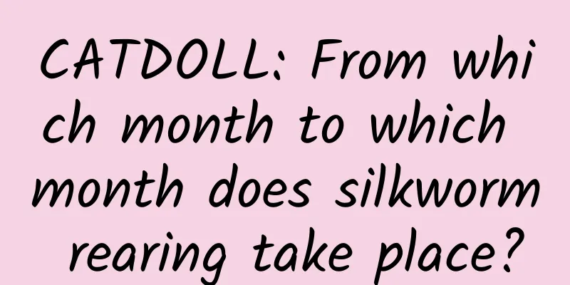 CATDOLL: From which month to which month does silkworm rearing take place?