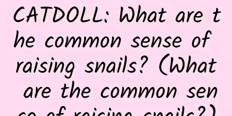 CATDOLL: What are the common sense of raising snails? (What are the common sense of raising snails?)