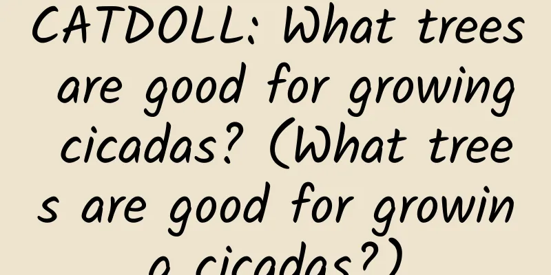 CATDOLL: What trees are good for growing cicadas? (What trees are good for growing cicadas?)