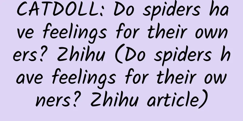 CATDOLL: Do spiders have feelings for their owners? Zhihu (Do spiders have feelings for their owners? Zhihu article)