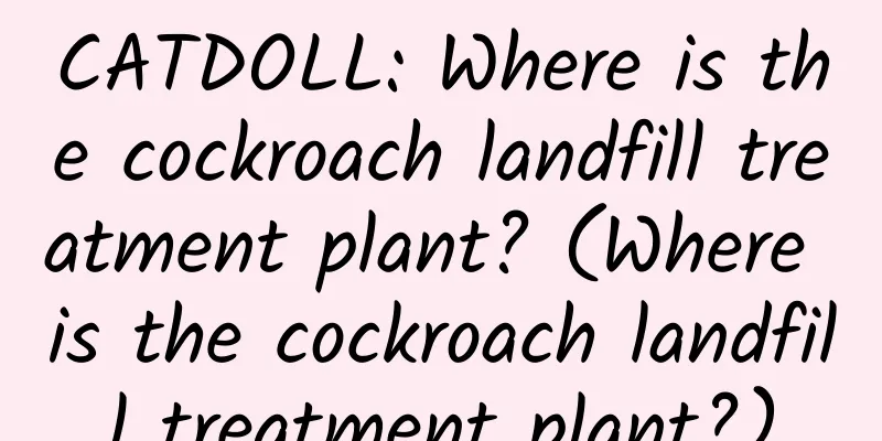 CATDOLL: Where is the cockroach landfill treatment plant? (Where is the cockroach landfill treatment plant?)