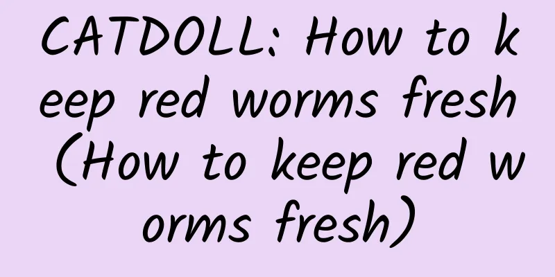CATDOLL: How to keep red worms fresh (How to keep red worms fresh)