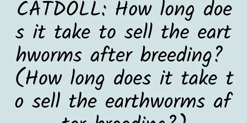 CATDOLL: How long does it take to sell the earthworms after breeding? (How long does it take to sell the earthworms after breeding?)