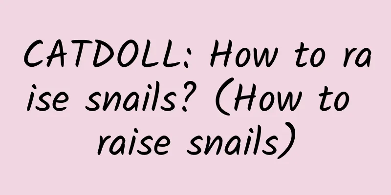 CATDOLL: How to raise snails? (How to raise snails)