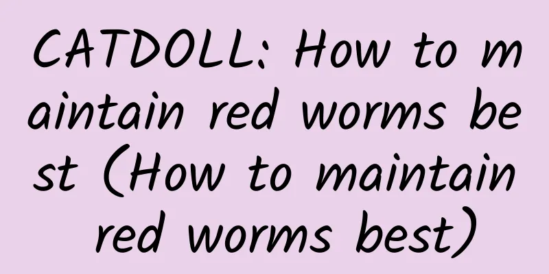 CATDOLL: How to maintain red worms best (How to maintain red worms best)