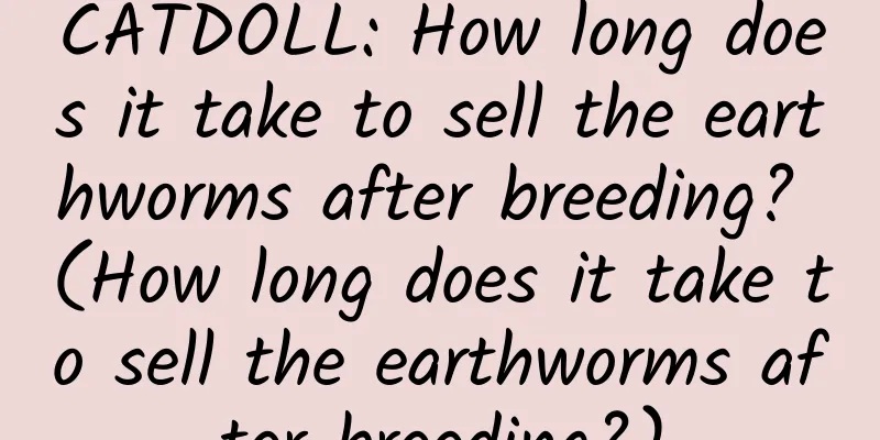 CATDOLL: How long does it take to sell the earthworms after breeding? (How long does it take to sell the earthworms after breeding?)