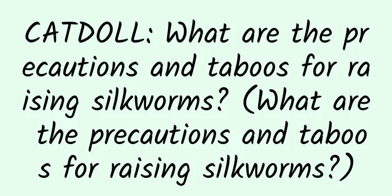 CATDOLL: What are the precautions and taboos for raising silkworms? (What are the precautions and taboos for raising silkworms?)