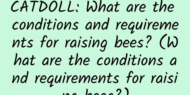 CATDOLL: What are the conditions and requirements for raising bees? (What are the conditions and requirements for raising bees?)