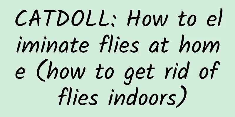 CATDOLL: How to eliminate flies at home (how to get rid of flies indoors)