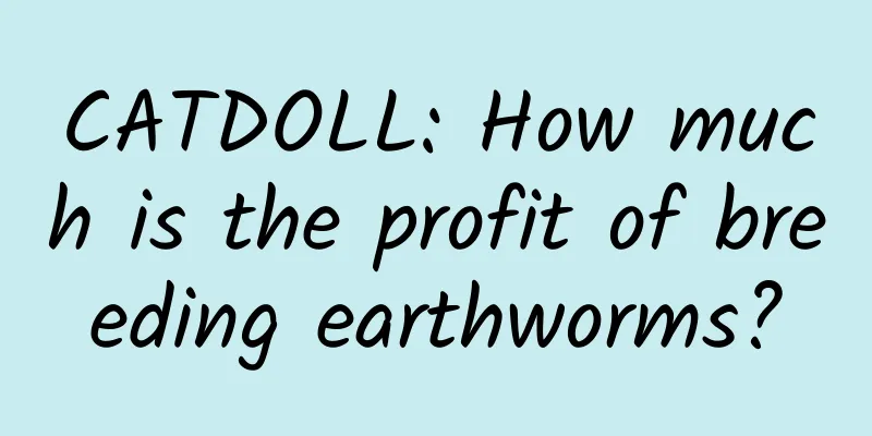 CATDOLL: How much is the profit of breeding earthworms?