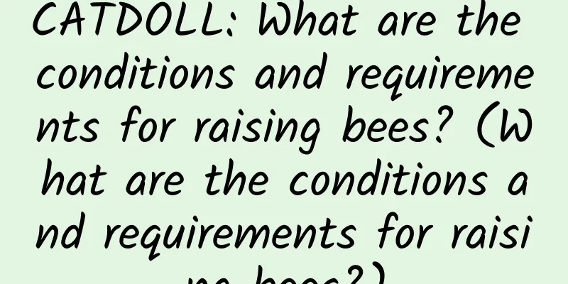CATDOLL: What are the conditions and requirements for raising bees? (What are the conditions and requirements for raising bees?)