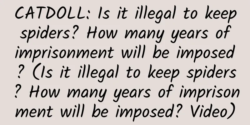 CATDOLL: Is it illegal to keep spiders? How many years of imprisonment will be imposed? (Is it illegal to keep spiders? How many years of imprisonment will be imposed? Video)
