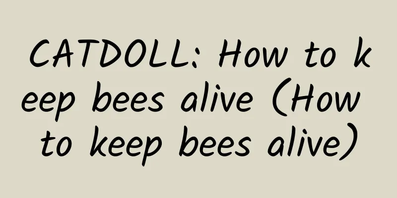 CATDOLL: How to keep bees alive (How to keep bees alive)