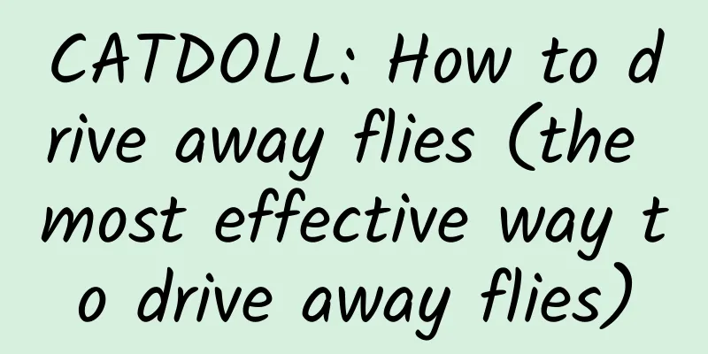 CATDOLL: How to drive away flies (the most effective way to drive away flies)