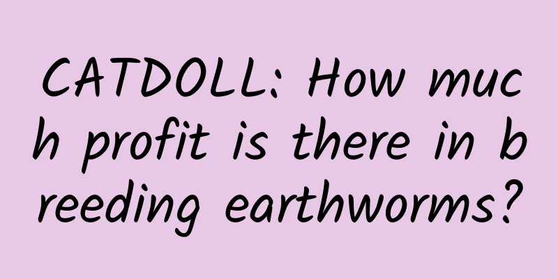 CATDOLL: How much profit is there in breeding earthworms?