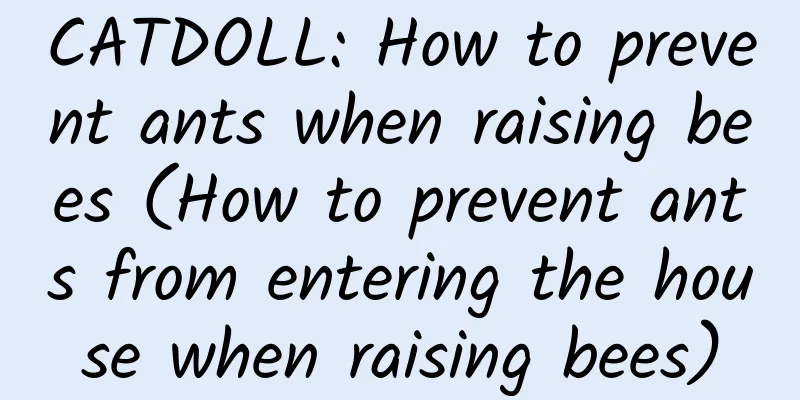 CATDOLL: How to prevent ants when raising bees (How to prevent ants from entering the house when raising bees)