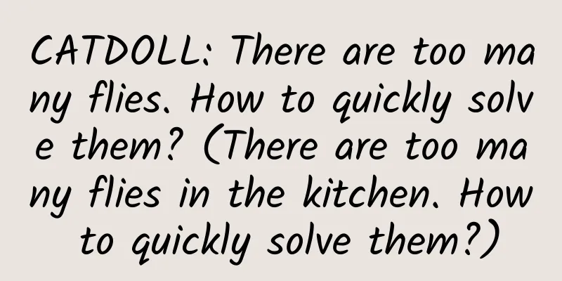 CATDOLL: There are too many flies. How to quickly solve them? (There are too many flies in the kitchen. How to quickly solve them?)