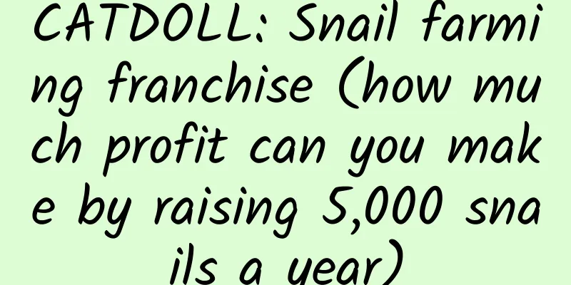 CATDOLL: Snail farming franchise (how much profit can you make by raising 5,000 snails a year)