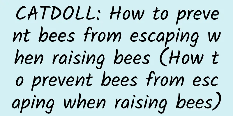 CATDOLL: How to prevent bees from escaping when raising bees (How to prevent bees from escaping when raising bees)