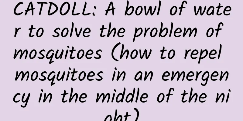 CATDOLL: A bowl of water to solve the problem of mosquitoes (how to repel mosquitoes in an emergency in the middle of the night)