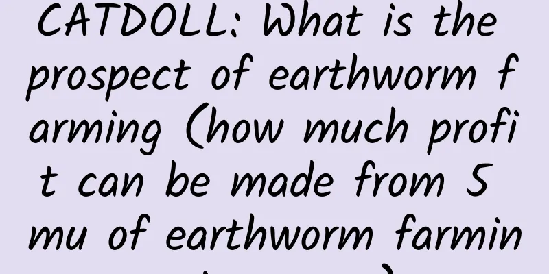 CATDOLL: What is the prospect of earthworm farming (how much profit can be made from 5 mu of earthworm farming in a year)