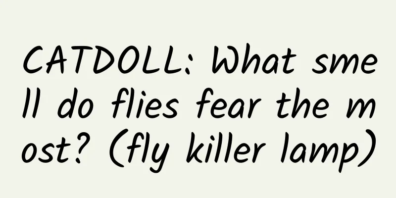 CATDOLL: What smell do flies fear the most? (fly killer lamp)