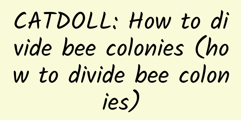 CATDOLL: How to divide bee colonies (how to divide bee colonies)