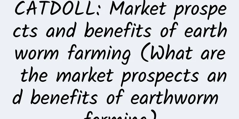 CATDOLL: Market prospects and benefits of earthworm farming (What are the market prospects and benefits of earthworm farming)