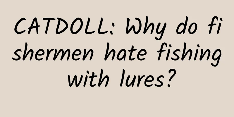 CATDOLL: Why do fishermen hate fishing with lures?