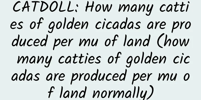 CATDOLL: How many catties of golden cicadas are produced per mu of land (how many catties of golden cicadas are produced per mu of land normally)