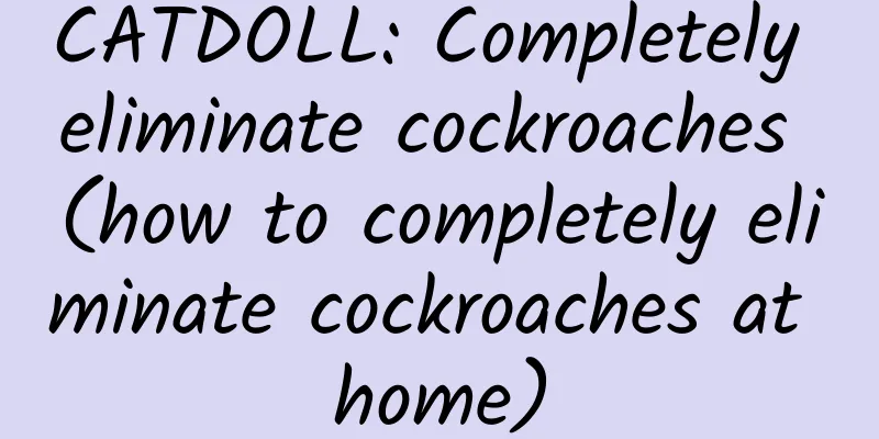 CATDOLL: Completely eliminate cockroaches (how to completely eliminate cockroaches at home)
